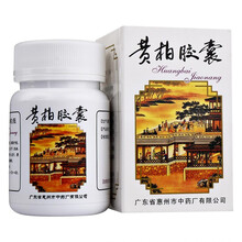鹅城黄柏胶囊1g*20粒 黄疸热淋清热燥湿泻火除蒸 1盒