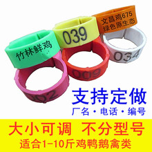 鸡脚环卡扣式鸡用脚环脚圈记号识别环鸡鸭鹅家禽类脚环脚圈 绿色/带编号001-100