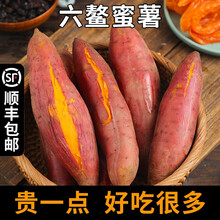 六鳌红蜜薯 板栗红薯 甜红心番薯地瓜新鲜 2.5斤小果（15-20个）