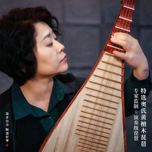 乐海 琵琶乐器杨靖监制款奥氏黄檀木材质考级演奏酸枝木琵琶974JZ 974JZ