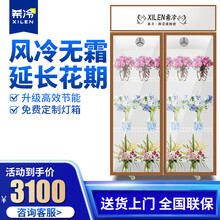 希冷（XILEN）商用鲜花柜保鲜展示柜冷藏柜花店鲜花柜植物陈列立式展示柜风冷鲜花冰柜 双门金色