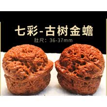 文玩铁核桃】价格_文玩铁核桃图片- 京东