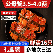 【活蟹】觅味鲜大闸蟹公母蟹3.5-4.0两16只六月黄超大蟹新鲜螃蟹鲜活生鲜湖蟹现货河蟹 全母蟹2.5-3.0两8只