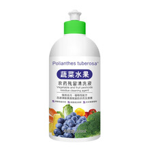 果蔬清洗剂 水果蔬菜清洗剂果蔬专用清洁剂洗水果蔬菜专用去农残 去除农药果蔬净一瓶(500g)