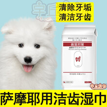 萨摩耶犬洁牙湿巾清洁牙齿除口臭护龈去口臭嘴巴去除牙结石抗菌 一包30枚