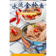 金枪鱼罐头商用鱼肉吞拿鱼减脂健身即食寿司水油浸蛋黄拌饭菜 低脂水浸金枪鱼【健身代餐】*6罐