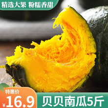 贝贝南瓜 栗香小南瓜 健康轻食 板栗小南瓜 宝宝辅食 新鲜蔬菜 5斤