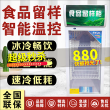 食品留样柜小型冰箱幼儿园带锁食堂学校厨房保鲜展示冷藏家用迷你创雪 52x52x80cm