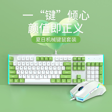 牧马人K100拼色机械键盘鼠标套装电竞吃鸡游戏三件套笔记本台式电脑有线外接usb键鼠套装小清新外设 薄荷绿-青轴+M5游戏鼠标