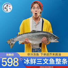 【核酸已检验】粤海湾 新鲜三文鱼整条（大西洋鲑）6.0-5.0kg/条冰鲜三文鱼刺身 整条三文鱼刺身6-5kg 新鲜