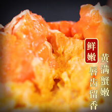 【活蟹】全母满黄大闸蟹鲜活特大螃蟹公母蟹礼盒海鲜水产蟹类 惟纳德 全母(2.5-3)12只超大蟹 顺丰冷运