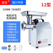 班吉绞肉机商用电动不锈钢大功率全自动灌肠搅碎绞肉机绞肉机电动不锈钢多功能绞馅绞蒜打肉灌肠机家用搅肉机 12型合金款单绞肉机（1100W）