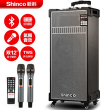 新科 大功率广场舞音响户外演出重音炮蓝牙拉杆音箱便携式大喇叭重低音扩音器专业活动会议音响 双麦克风 C30  12英寸双低音双话筒 一只