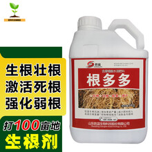 根多多 生根剂快速生根粉扦插迅速发根多多壮根素果树苗木通用营养液 【升级版根多多】500克1瓶