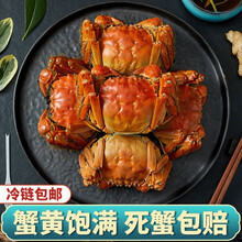 【活蟹】现货蟹品煌大闸蟹 大蟹 六月黄 特大鲜活的大蟹 生鲜 螃蟹水产河蟹 活体实物全公母大闸蟹 六月黄大闸蟹3.7-4.0两 十只礼盒装