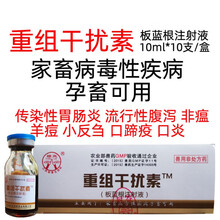 兽药兽用重组干扰素猪牛羊病毒性腹泻传染胃肠炎口蹄疫羊痘小反刍