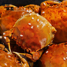 香辣蟹罐装熟食小螃蟹即食母蟹一元蟹大闸蟹钳切蟹麻辣海鲜零食 300克全公1罐(香辣)