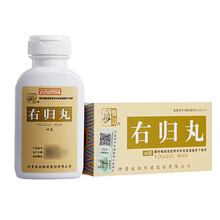 仲景 右归丸 45g 1盒装 10盒装