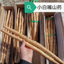 小白嘴山药现挖新鲜蔬菜粉糯铁杆垆土淮山药铁棍整箱 5斤小白嘴