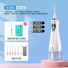蒂欧尼电动冲牙器便携式牙齿正畸水牙线清洁洗牙器牙结石家用 标准款高配:5喷头+3喷嘴+绒布袋(三档模式)