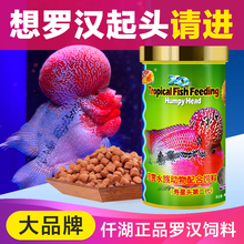 傲深（OF OCEAN FREE）仟湖罗汉鱼饲料罗汉鱼寿星头增色起头专用鱼食红瑞神鱼料血鹦鹉鱼粮 寿星头 二代 120g【中粒】