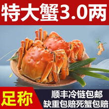 【活蟹】蟹品煌大闸蟹3.7-4.0两20只鲜活六月黄活体特大水产 河蟹超大固城湖螃蟹生鲜批发礼盒装4 大闸蟹（2.2-2.5两） 8只