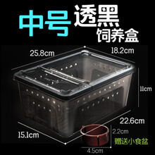 爬虫爬宠饲养盒箱子高透明亚克力缸柜一体树栖角蛙乌龟蜥蜴饲养盒 黑色中号盒26*18*12送水盆