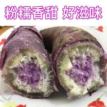 冰淇淋红薯新鲜红蜜薯超甜糖心地瓜小红薯红心沙地一点红番薯 【实发5斤】中果