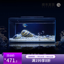 小佩起源纪智能鱼缸家用小型鱼缸办公室桌鱼缸水族箱灯光增氧水泵造景超白玻璃鱼缸 智能鱼缸+寂静の石造景