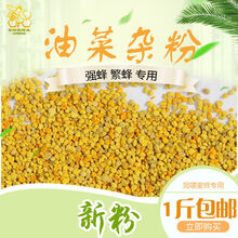 天然花粉颗粒油菜杂粉新养蜂喂蜂蜂用花粉 天然花粉蜜蜂饲料喂蜂 5斤装送百菌杀送巢虫清木片