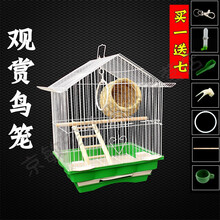 鹦鹉鸟笼子虎皮牡丹别墅笼子文鸟珍珠小号铁艺金属房顶造型观赏笼 屋顶102鸟笼（草窝+木梯）