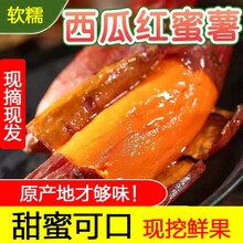 西瓜红蜜薯5斤红薯新鲜10斤糖心板栗沙地超甜红心山芋农家烤地瓜 9斤装 中小果