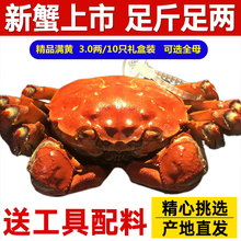 【活蟹】蟹锦美大闸蟹 现货鲜活特大螃蟹 活蟹公蟹可全母蟹活体 海鲜水产生鲜礼盒 精品六月黄大闸蟹2.8-3.1两10只