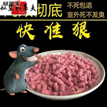 【灭鼠先锋】灭鼠药耗子一窝端家用颗粒老鼠神器捕鼠毒 标配买5送5【共10包】