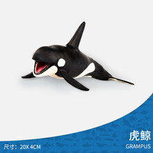 儿童仿真海洋鲨鱼玩具模型大号巨齿鲨大白鲨巨口鲨动物模型 虎鲸