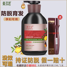 姜芝堂 生姜防i脱发洗发水控油去屑增发密发洗发液女老姜汁洗护套装无硅油洗发露 单瓶防i脱洗发露500g【头发稀疏防i脱推荐】