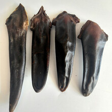 鹿尾巴干60g 鹿尾整枝干鹿尾吉林梅花鹿正宗泡酒东北双阳鹿乡 梅花鹿干鹿尾巴70-80克