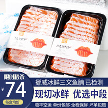 渔人百味 挪威冰鲜三文鱼刺身中段400g(大西洋鲑)三文鱼腩纯肉即食生鱼片海鲜整条现切 冰鲜三文鱼腩刺身400g