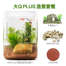 亚克力鱼缸水族箱 安全低电压5V 懒人迷你鱼缸 增氧过滤一体化 办公室居家 智慧生态小型鱼缸 大Q PLUS造景套餐(布景底砂+布景贝壳+假山)