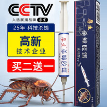 厚生蟑螂药杀蟑胶饵氟蚁腙2% 全窝端灭杀蟑螂屋贴蟑螂喷雾厨房家用德国小蠊克星蟑螂药粉 1盒/10g 家庭装
