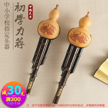 葫芦丝 初学者练习级葫芦丝演奏型乐器初学儿童小学生防摔双音胡芦丝爵士森乐器 紫竹防摔款C+教材书