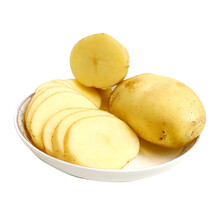 山东特产黄皮土豆新鲜荷兰土豆马铃薯 3 /5 /9斤新鲜蔬菜洋芋时令中大果 净重 9斤大果