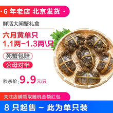 【活鲜】京鲜生 现货大闸蟹礼盒 活螃蟹 公母对半 海鲜水产 死蟹包赔 大闸蟹 六月黄单只 (1.1两-1.3两 只)