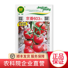北京农科院京研京番603原味番茄种子抗病高产无限生长型西红柿蔬菜种籽 大棚阳台四季播种露地春秋菜种子 京番603原味西红柿种子 50粒1袋