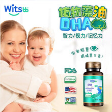 witsbb健敏思dha海藻油儿童宝宝孕妇DHA马泰克life's DHA海藻油软胶囊 美国原装进口 DHA胶囊1瓶