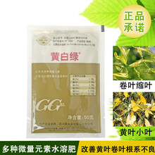 国光黄白绿壮多微量元素水溶肥黄叶栀子花杜鹃铁树黄化黄叶叶面肥 50g