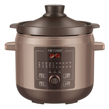 天际（TONZE）电炖锅快炖 电炖盅 煲汤锅炖汤锅 煮粥锅 4L大容量陶瓷内胆 DGD40-40HD