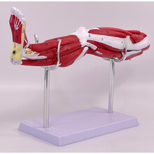 #RemHtml($!{product.content.wareName})