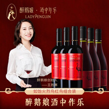 国际	
醉鹅娘 如饴火烈鸟酒红鸟珍藏黑皮诺+珍藏梅洛干红葡萄酒 智利酒庄直供进口葡萄红酒750ml*6支整箱