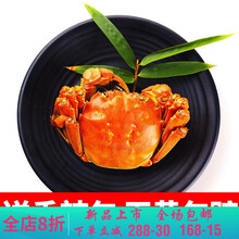 【活鲜】大闸蟹特大螃蟹六月黄礼盒鲜活现货3.5-1.5两 莫尔加德 (2.0-1.5两)20只
